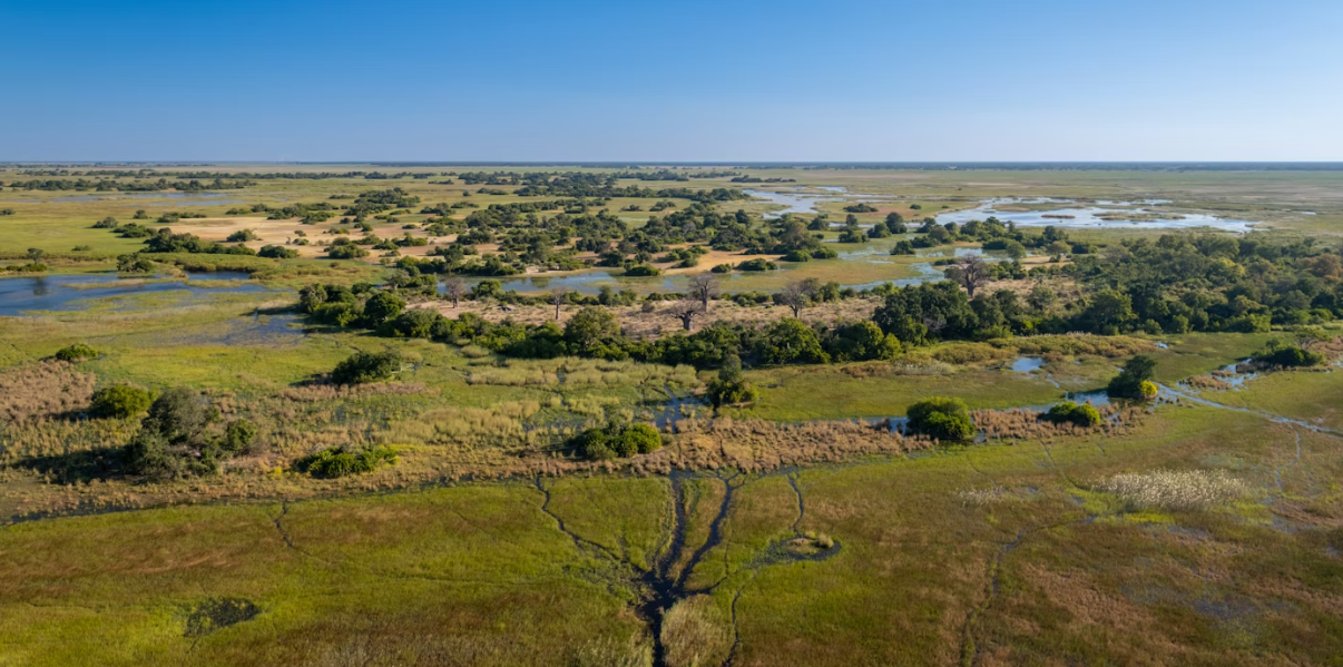Moremi &amp; Okavango Delta, North-Western Botswana, Botswana